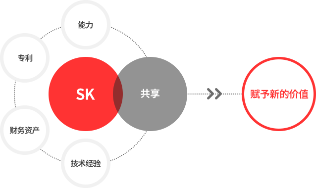 SK:能力、专利、财务资产、技术经验、共享、赋予新的价值。